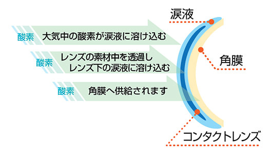 角膜の新陳代謝（眼の健康）＝酸素供給